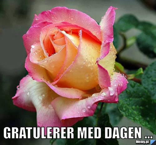  gratulerer med dagen ...