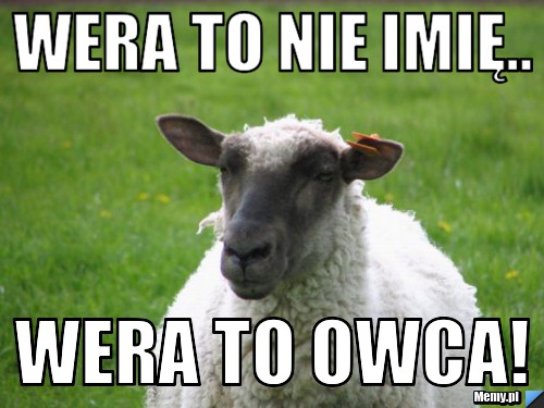 Wera to nie imię.. Wera to OWCA!