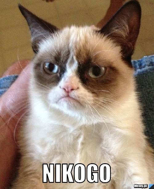  NIKOGO