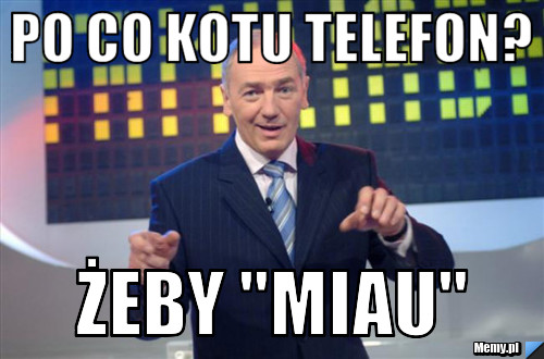 Po co kotu telefon? Żeby "Miau"