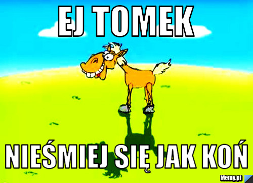 Ej Tomek Nieśmiej Się Jak Koń