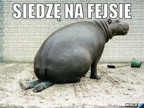 Siedzę na fejsie 
