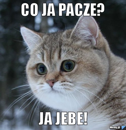 Co ja pacze? Ja jebe!