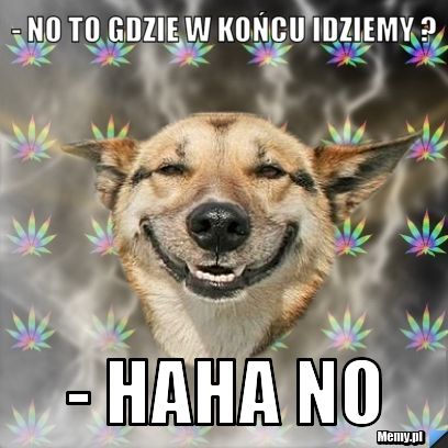 - no to gdzie w końcu idziemy ?  - haha no