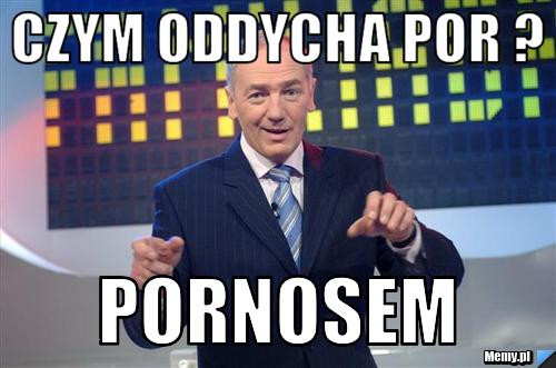 Czym oddycha por ? Pornosem