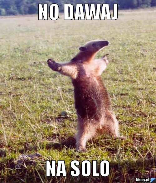 No Dawaj  Na Solo