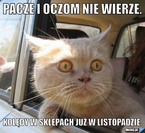 Pacze i oczom nie wierze. kolędy w sklepach już w listopadzie.