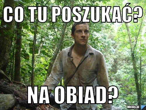 Co tu poszukać? Na Obiad?