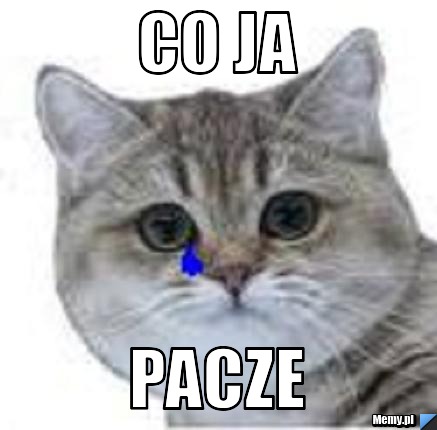 Co ja pacze