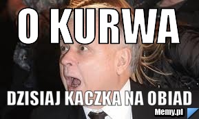 O kurwa dzisiaj kaczka na obiad