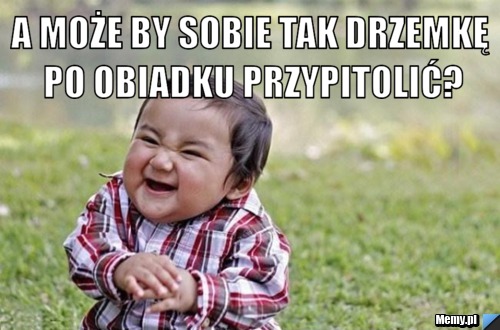 A może by sobie tak drzemkę po obiadku przypitolić? 