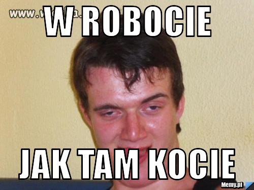 W robocie Jak tam kocie