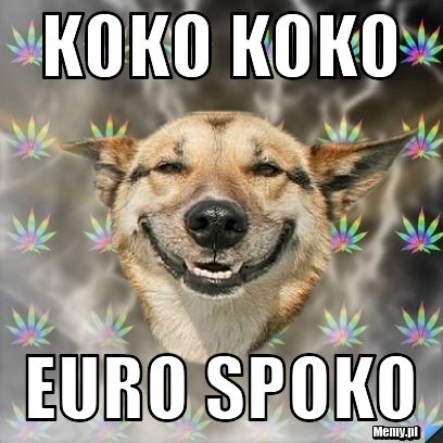 KOKO KOKO  Euro Spoko 