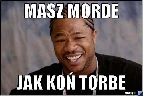 MASZ MORDE  JAK KOŃ TORBE