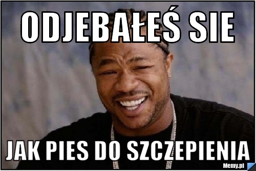 Odjebałeś sie  jak pies do szczepienia 