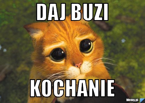 DAJ buzi  kochanie