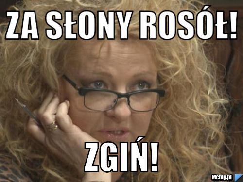 Za słony rosół! ZGIŃ!