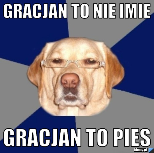 Gracjan To nie imie  Gracjan to pies
