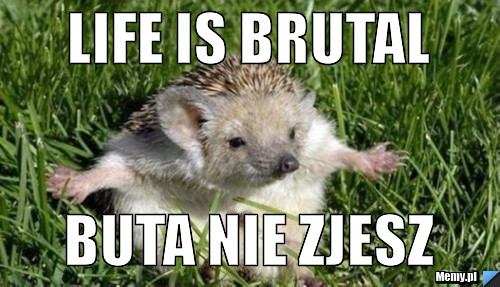 Life is brutal Buta nie zjesz