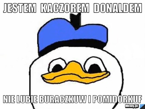  JESTEM  KACZOREM  DONALDEM   NIE LUBIE BURACZKUW I POMIDORKUF
