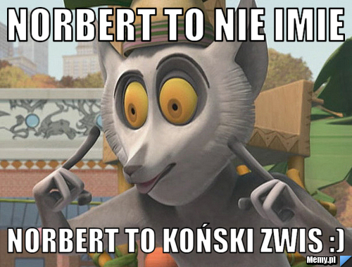 Norbert to nie imie  norbert to koński zwis :)