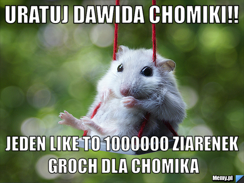 Uratuj dawida chomiki!! jeden like to 1000000 ziarenek groch dla chomika