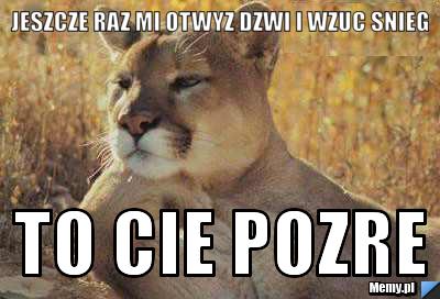 Jeszcze raz mi otwyz dzwi i wzuc snieg  to cie pozre 