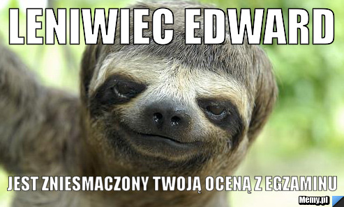 Leniwiec Edward  jest zniesmaczony twoją oceną z egzaminu