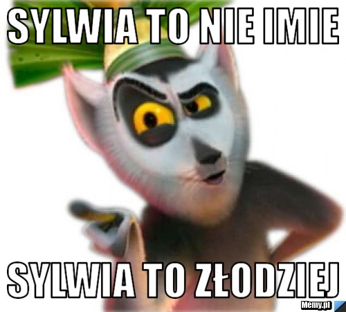 SYLWIA TO NIE IMIE SYLWIA TO ZŁODZIEJ 