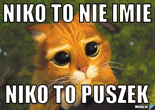Niko to nie imie  niko to puszek