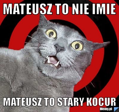 Mateusz to nie imie mateusz to stary kocur 