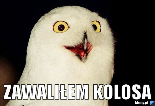  ZAWALIŁEM KOLOSA