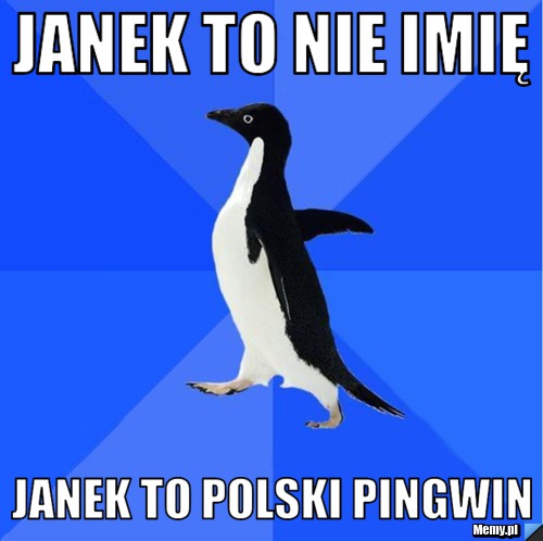 Janek to nie imię janek to polski pingwin