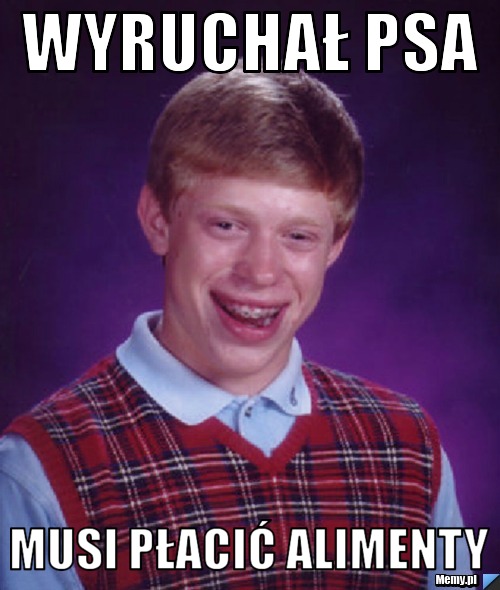 Wyruchał Psa Musi płacić alimenty