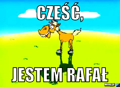 Cześć, jestem Rafał