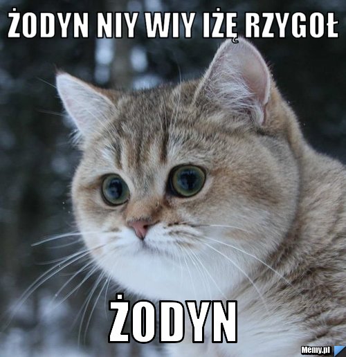 ŻODYN NIY WIY IŻĘ RZYGOŁ ŻODYN