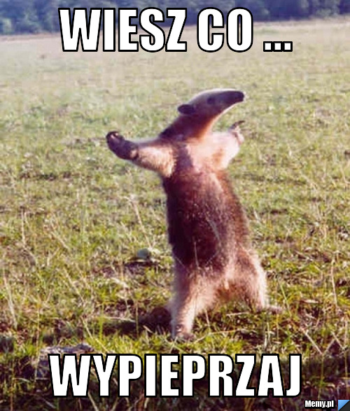 Wiesz co ... wypieprzaj