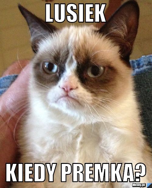 Lusiek kiedy premka?