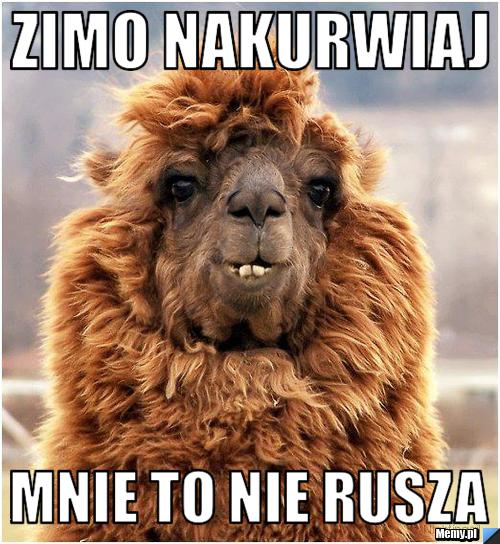 Zimo nakurwiaj mnie to nie rusza