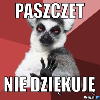 PASZCZET  NIE DZIĘKUJĘ 