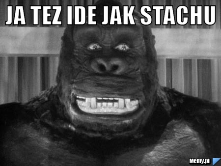 JA TEZ IDE JAK STACHU  