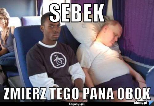 Sebek Zmierz tego pana obok