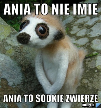Ania to nie imie Ania to sodkie zwierze