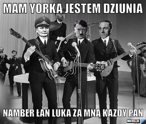 Mam yorka jestem dziunia  namber łan luka za mną kazdy pan