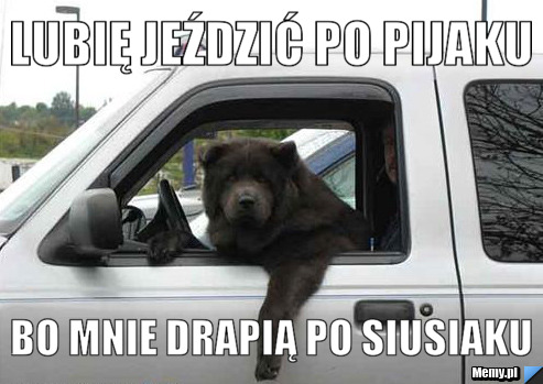LUBIĘ JEŹDZIĆ PO PIJAKU BO MNIE DRAPIĄ PO SIUSIAKU