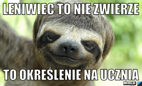 Leniwiec to nie zwierze         To określenie na ucznia