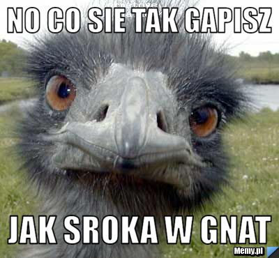 No co sie tak gapisz jak sroka w gnat