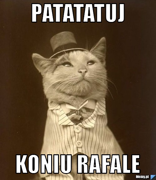 Patatatuj koniu rafale