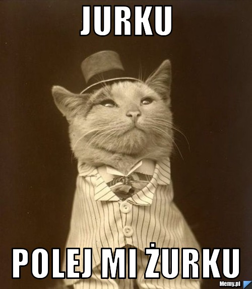 Jurku polej mi żurku