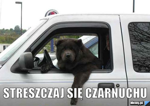  streszczaj się czarnuchu